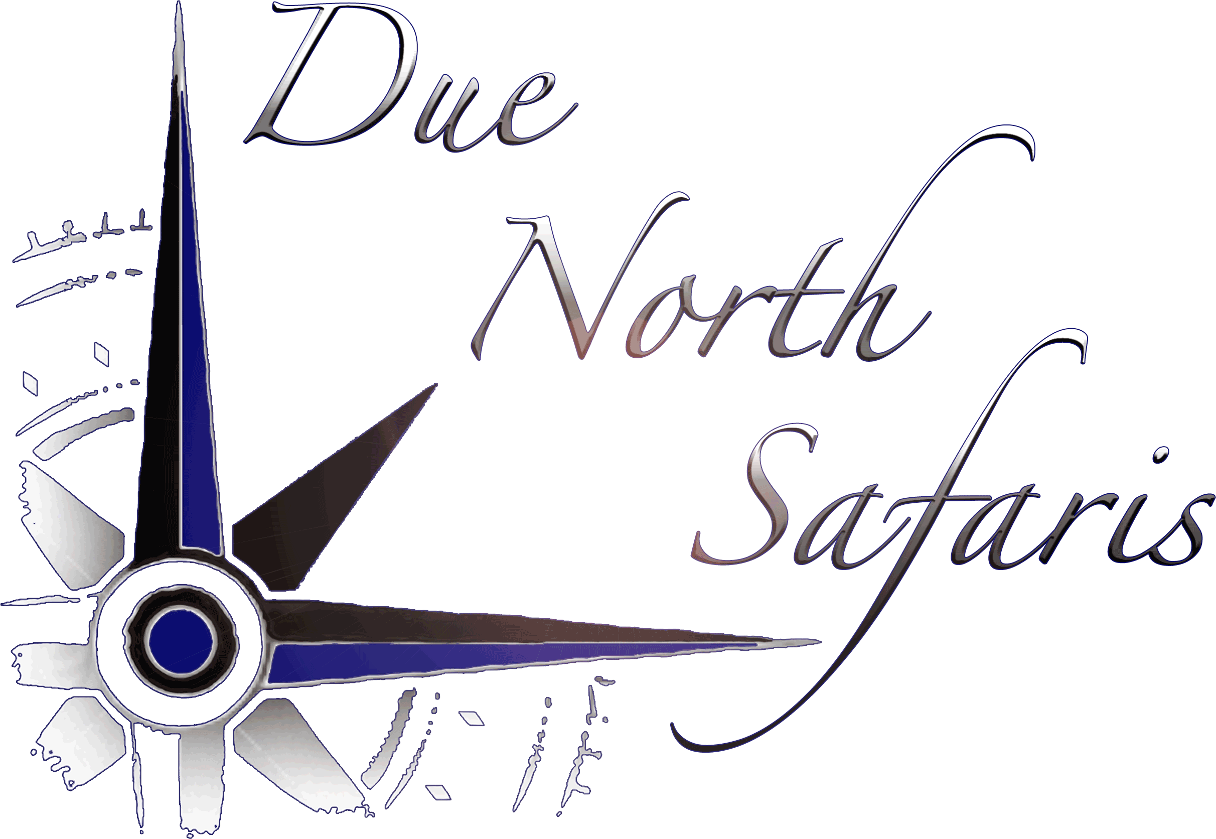 Due North Safaris logo