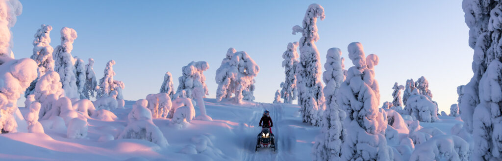 Snowmobile safaris...