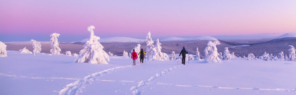 Snowshoe safaris...